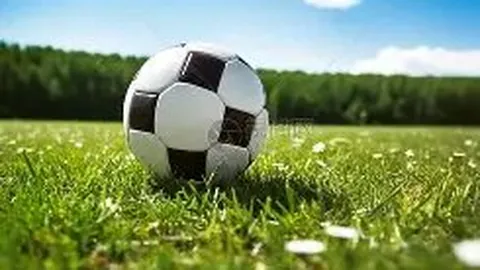 电影局倡导：探寻电影创作与社会进步的良性互动