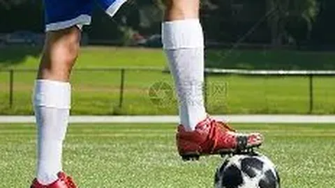 澳门新葡京赌场入口